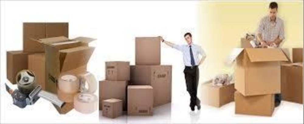 Why Choosing Professional India Packers and Movers for a Hassle-Free Move