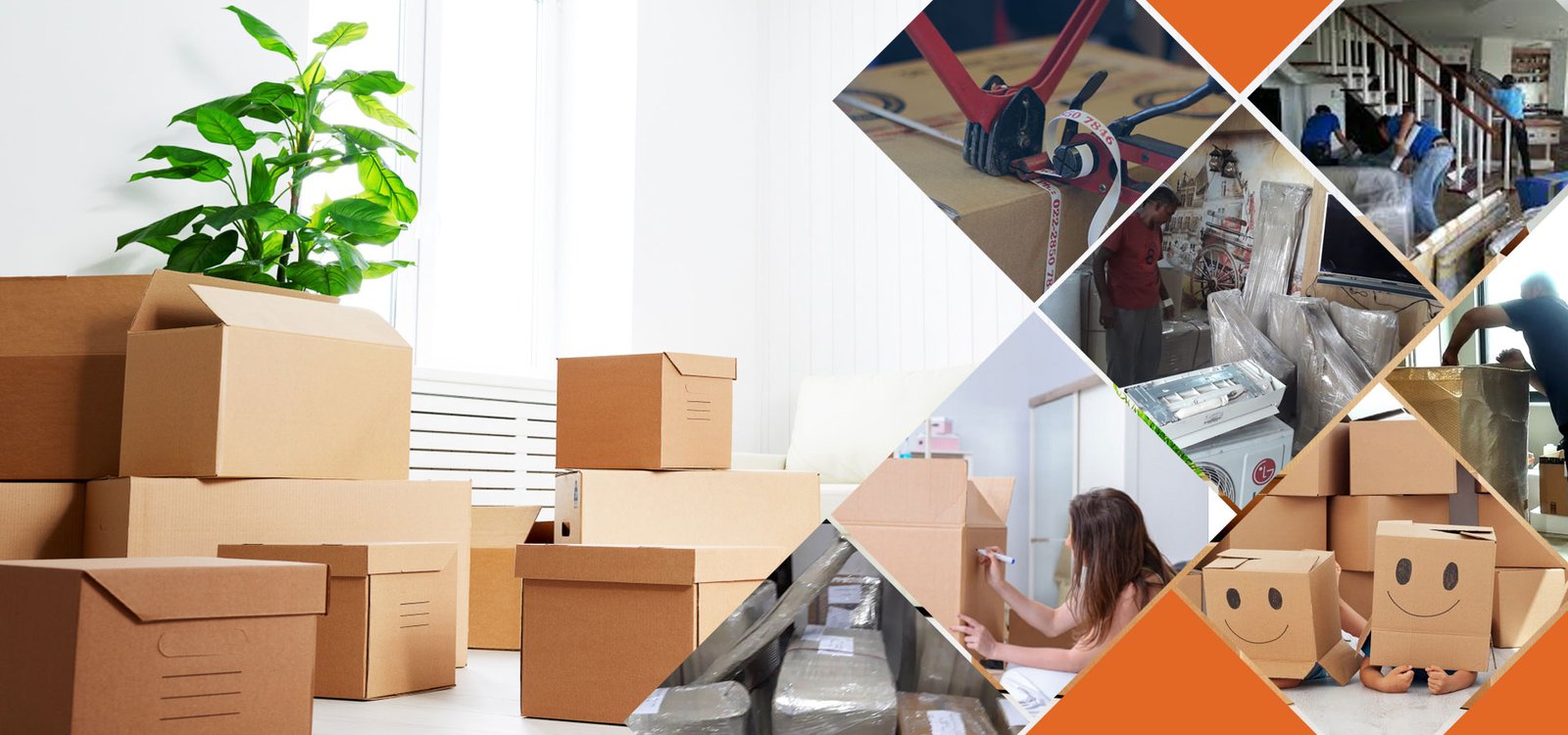 Household Shifting